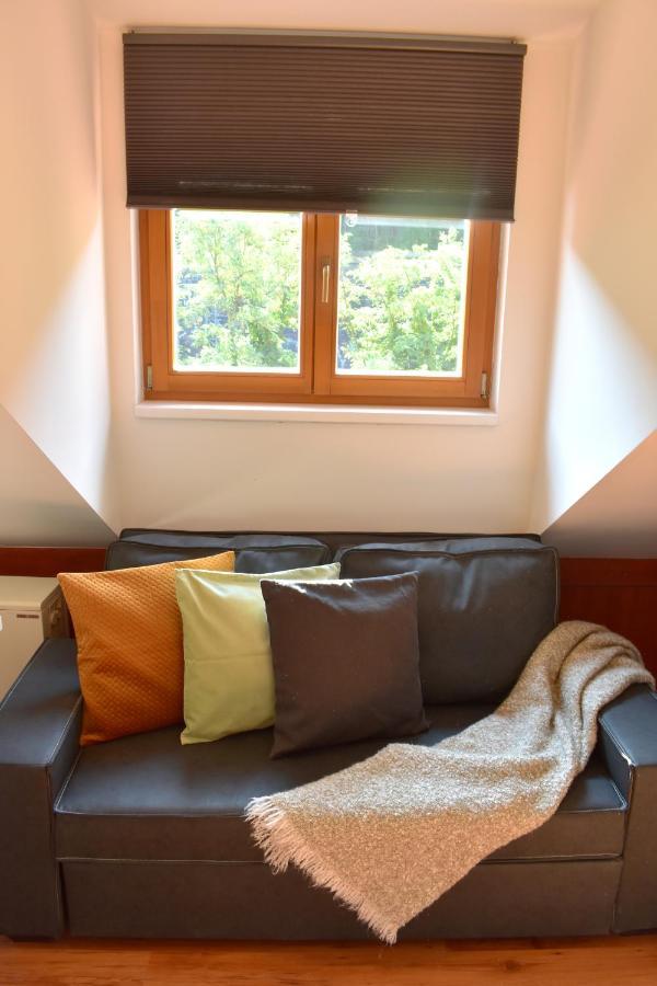 New Central Rooftop With Private Wellness, Sauna & Whirlpool Bath Prague Exterior photo